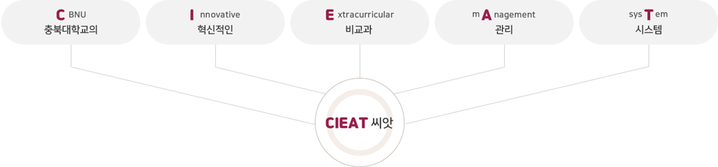 CIEAT 역량 함양 프로세스